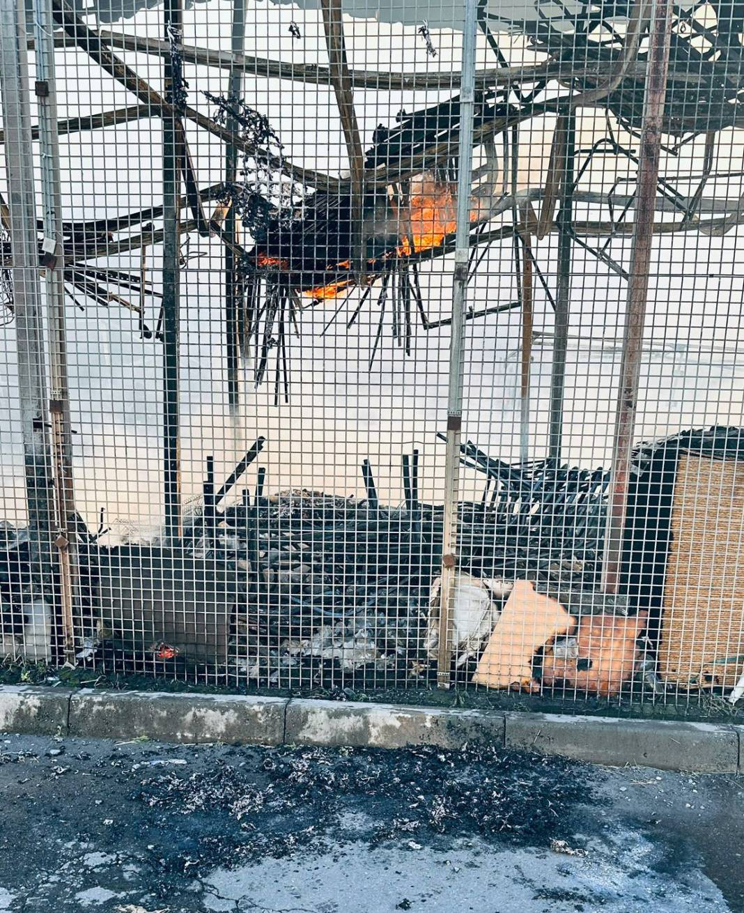 Rusya mağazayı füzeyle vurdu! Ölüler ve çok sayıda yaralı var - Resim: 19